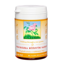 Procházka růžovým sadem