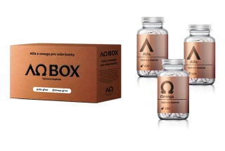 AlfaOmega BOX (dříve Kazeta)